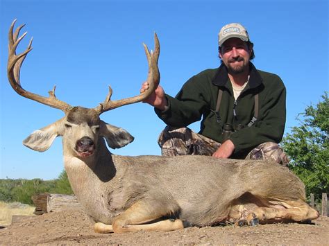 Coueswhitetail classifieds - 